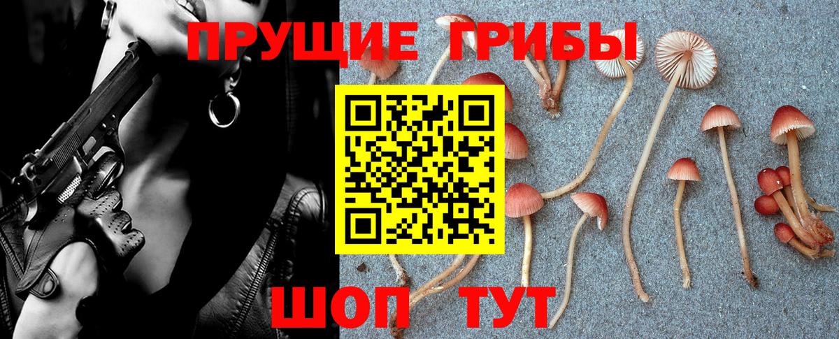 Галлюциногенные грибы GOLDEN TEACHER Кимры