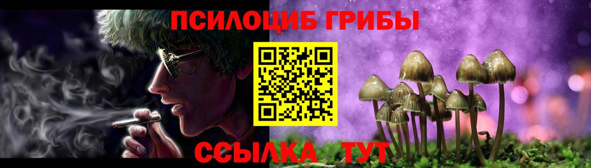 Псилоцибиновые грибы Magic Shrooms  Вход с VPN  Кимры  Псилоцибиновые грибы Magic Shrooms 